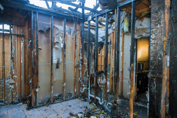 Professional Smoke Damage Removal technician working in Caney, KS